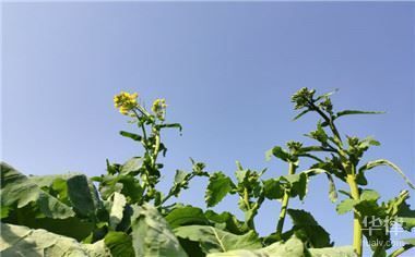 北京老旧房屋改造补贴政策规定（北京住房公积金管理中心推出老旧房屋改造补贴条件）