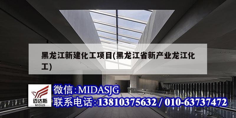 黑龙江新建化工项目(黑龙江省新产业龙江化工)