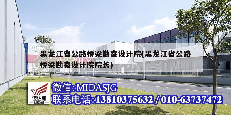 黑龙江省公路桥梁勘察设计院(黑龙江省公路桥梁勘察设计院院长)