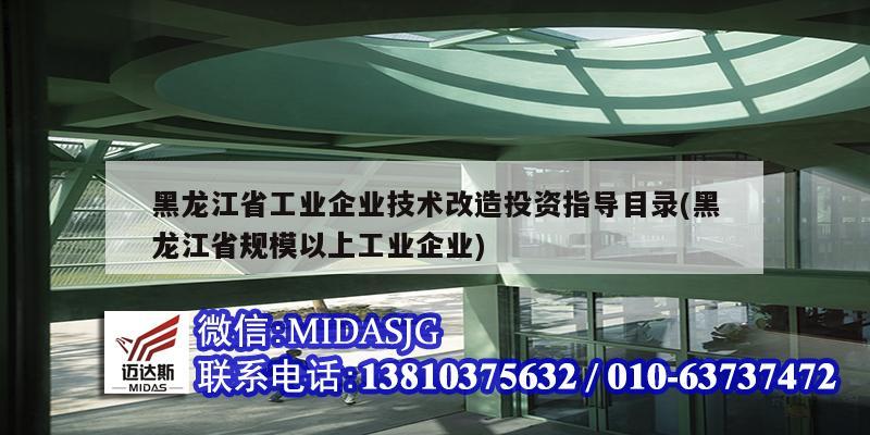 黑龙江省工业企业技术改造投资指导目录(黑龙江省规模以上工业企业)