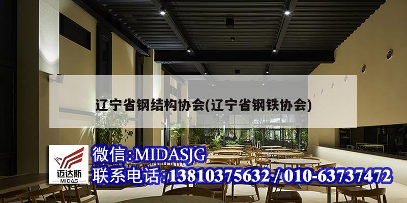 辽宁省钢结构协会(辽宁省钢铁协会)